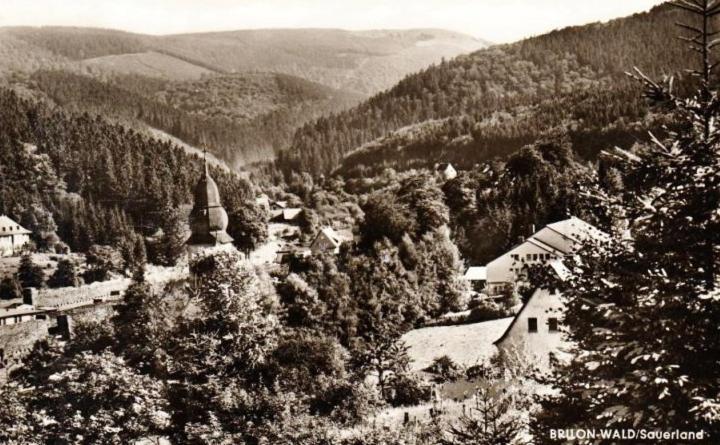 Die HAMMERHÜTTE Willingen  Exterior foto