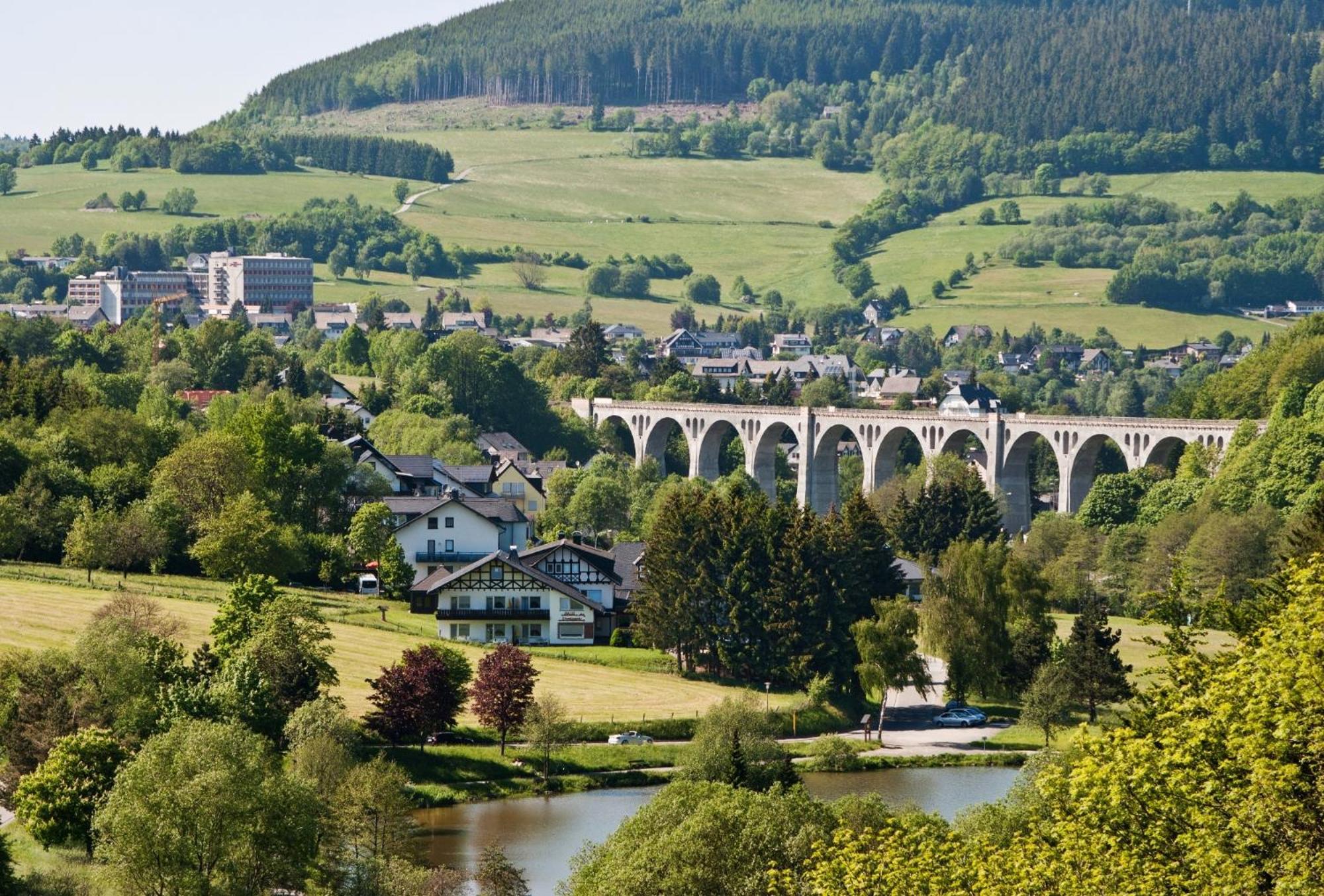 Die HAMMERHÜTTE Willingen  Exterior foto